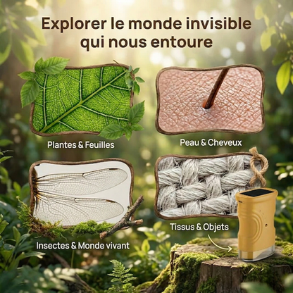 Kidvent – Développe sa curiosité, loin des écrans