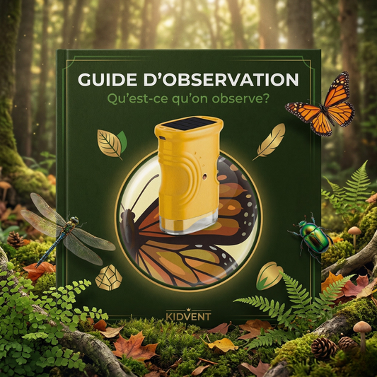 guide d'observation